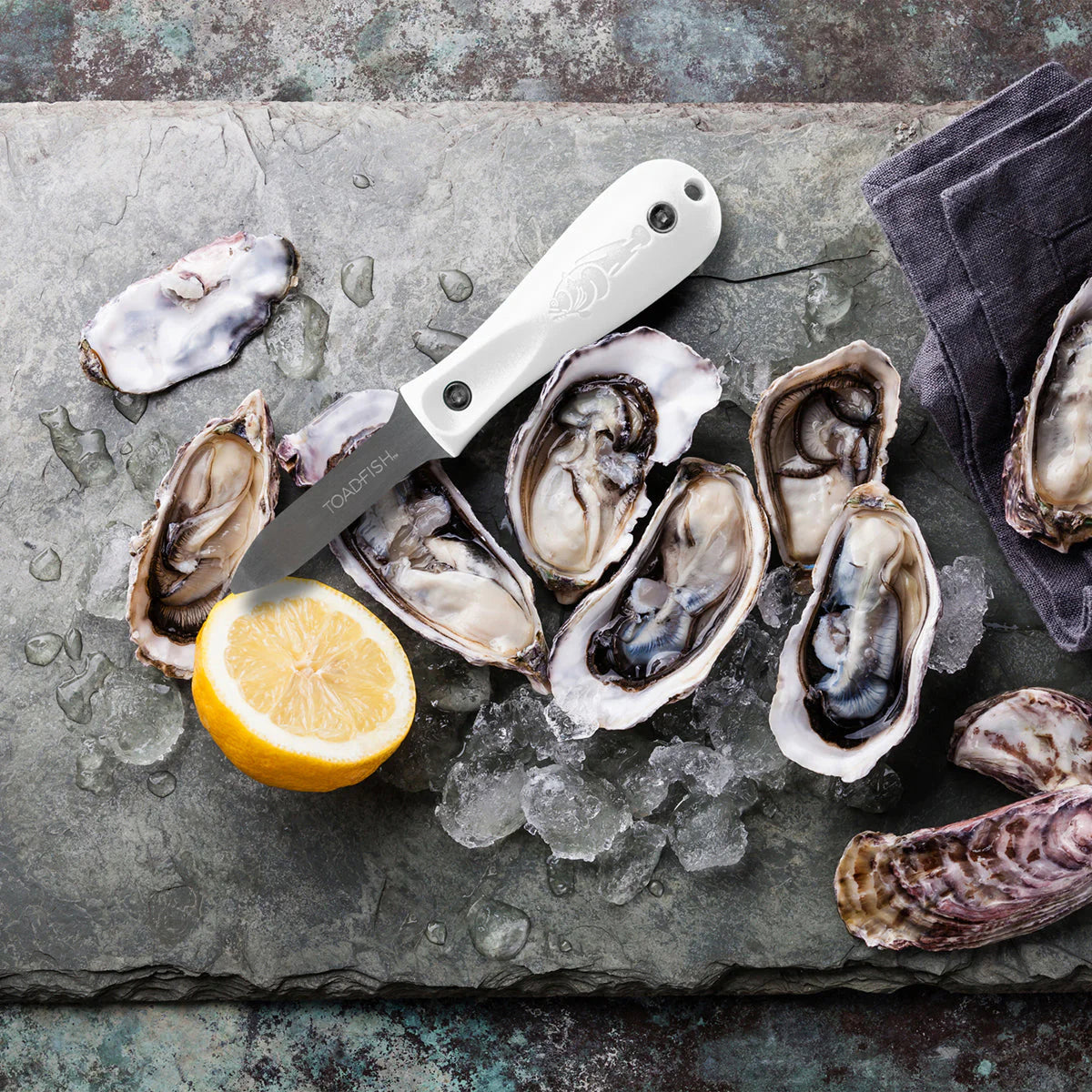 Toadfish Professional Edition Oyster Knife