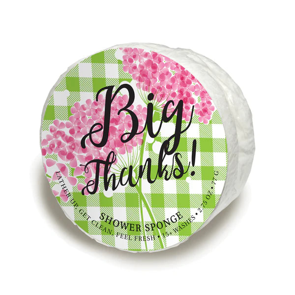 Caren Celebration Soap Sponge