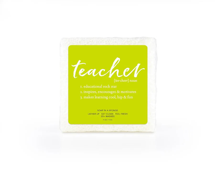 Teacher Soap Sponge