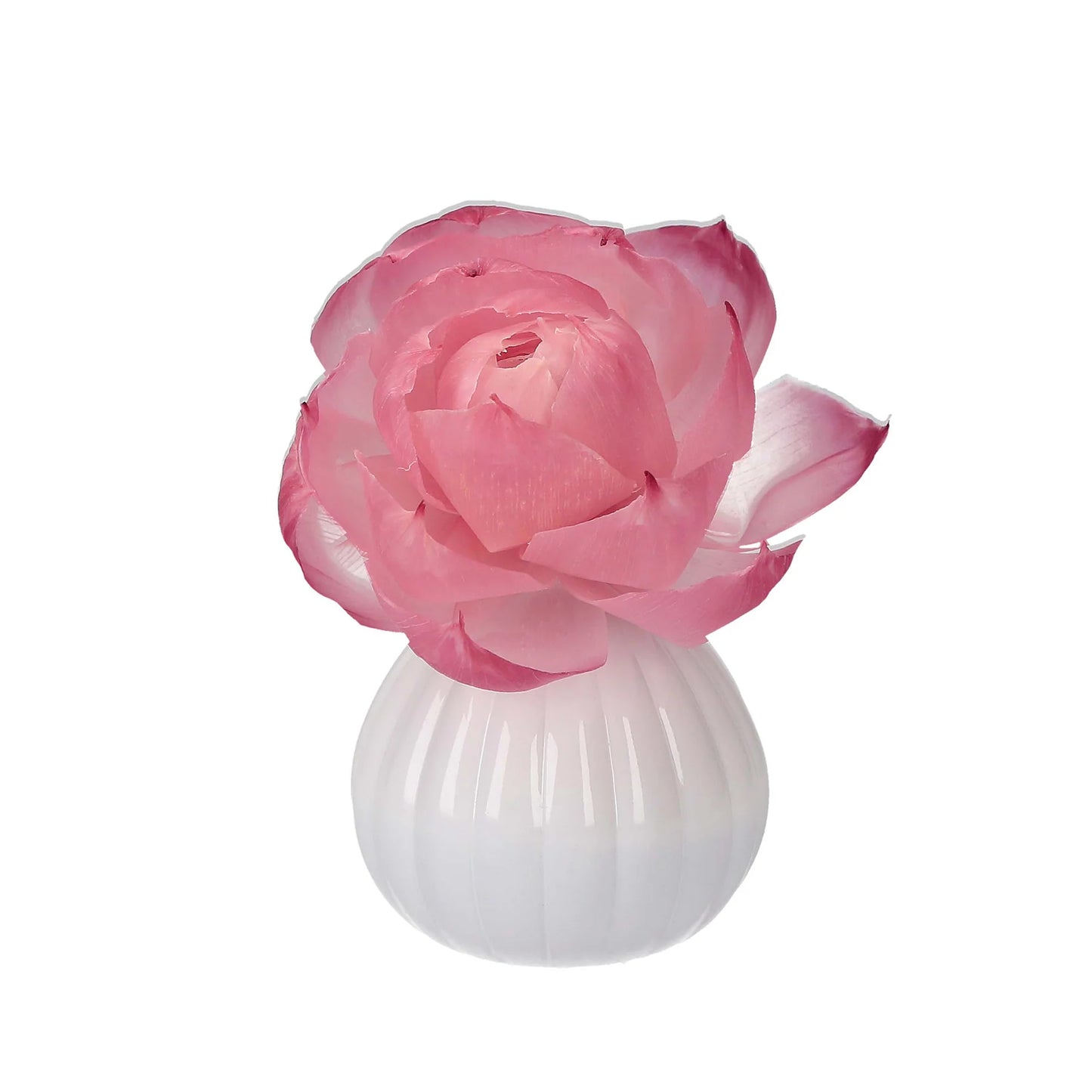 Sweet Grace Flower Diffuser Refill