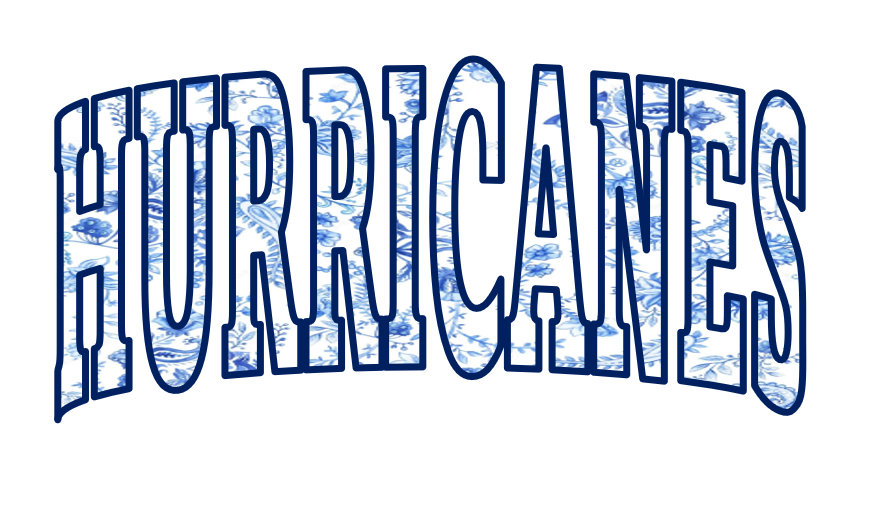 Floral Hurricanes Tee