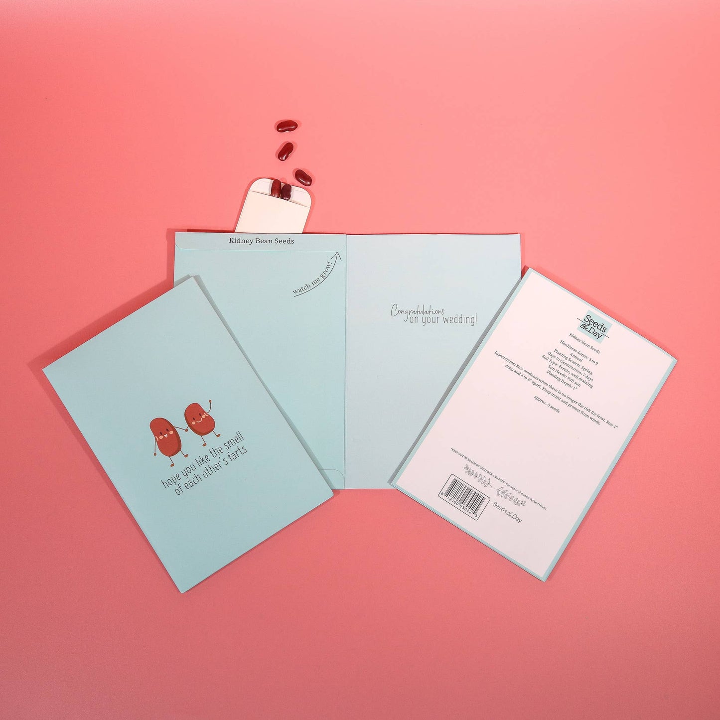 Greeting Cards That Grow