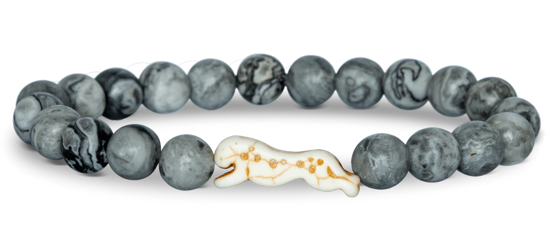 Cheetah Tracking Bracelet
