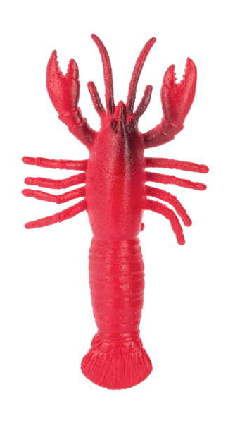 Lobster & Seahorse Growers