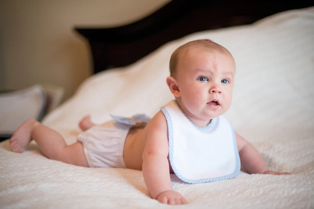 Bayou Blanks blue gingham bib