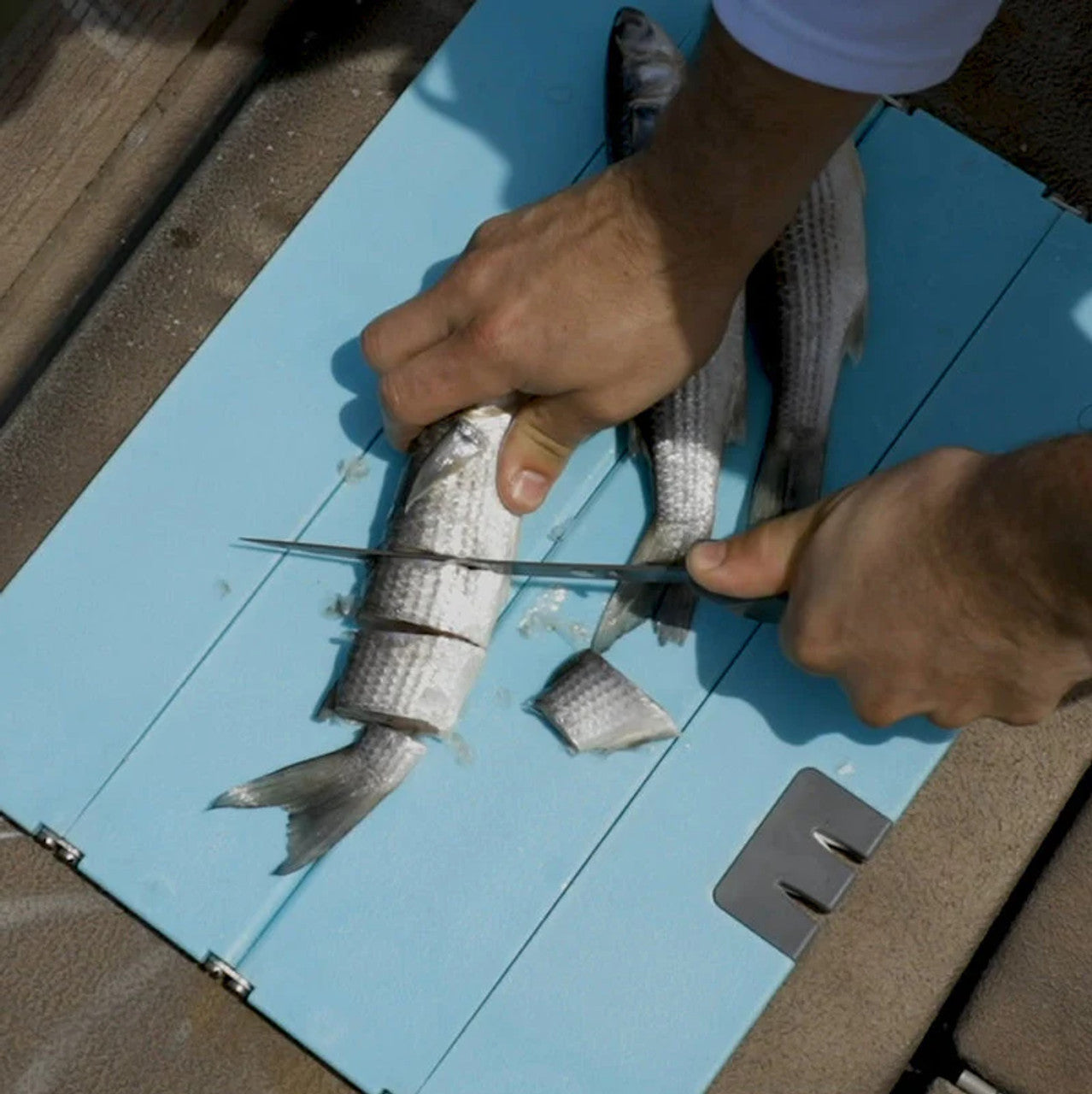 Toadfish Folding Cutting Board