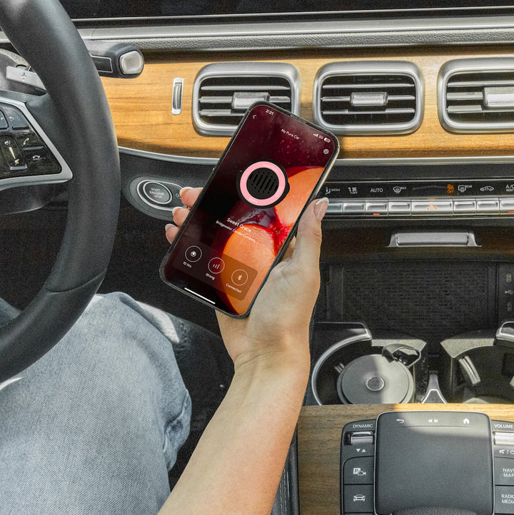 Pura Car Fragrance Diffuser Set With Sweet Grace
